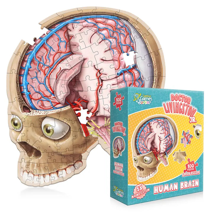 Human Brain Floor Kids Puzzle - Dr. Livingston'S Unique Shaped 100 Piece Science Puzzles for Kids