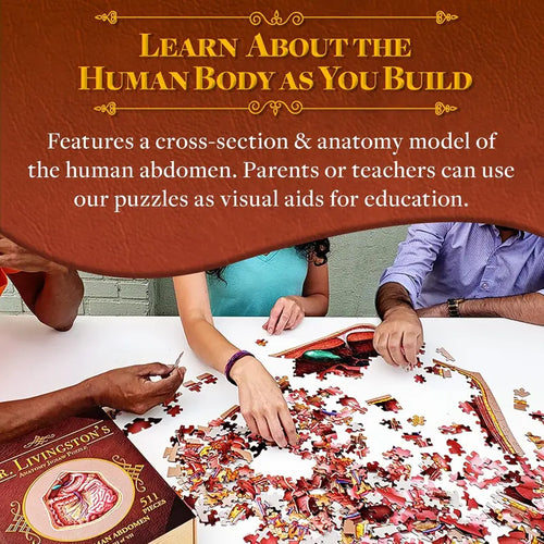 Human Abdomen Anatomy Jigsaw Puzzle | Dr Livingston'S Unique Shaped Science Puzzles, Accurate Medical Illustrations of the Body, Organs, Stomach, Liver and Intestines