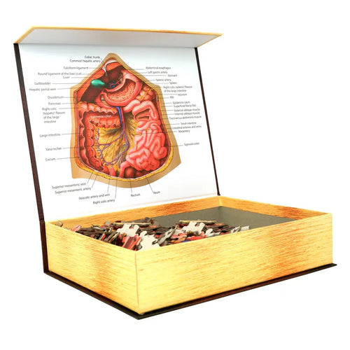 Human Abdomen Anatomy Jigsaw Puzzle | Dr Livingston'S Unique Shaped Science Puzzles, Accurate Medical Illustrations of the Body, Organs, Stomach, Liver and Intestines