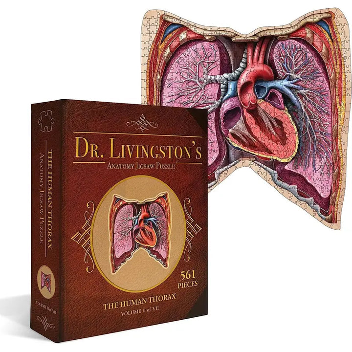 Human Thorax Anatomy Jigsaw Puzzle | Dr Livingston'S Unique Shaped Science Puzzles, Accurate Medical Illustrations of the Body, Organs, Lungs and Heart