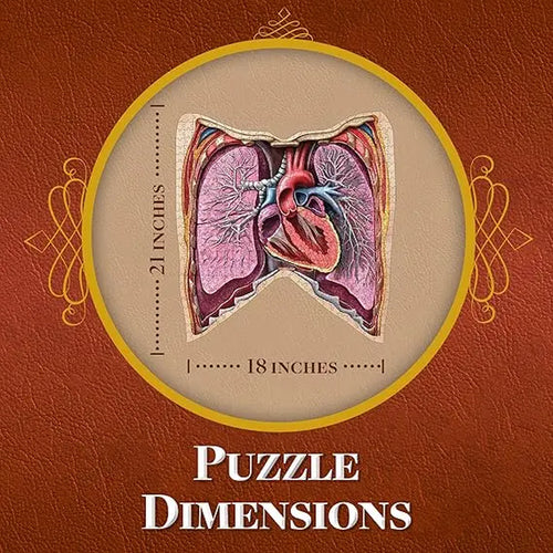 Human Thorax Anatomy Jigsaw Puzzle | Dr Livingston'S Unique Shaped Science Puzzles, Accurate Medical Illustrations of the Body, Organs, Lungs and Heart