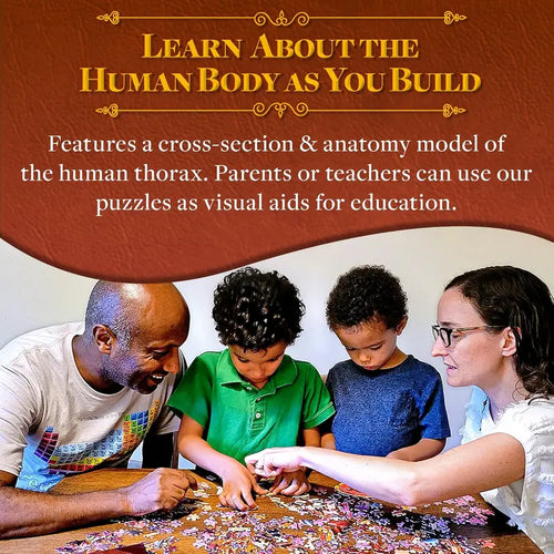 Human Thorax Anatomy Jigsaw Puzzle | Dr Livingston'S Unique Shaped Science Puzzles, Accurate Medical Illustrations of the Body, Organs, Lungs and Heart