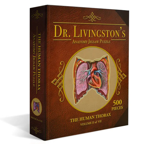 Human Thorax Anatomy Jigsaw Puzzle | Dr Livingston'S Unique Shaped Science Puzzles, Accurate Medical Illustrations of the Body, Organs, Lungs and Heart